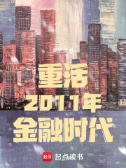 重活2011年金融时代